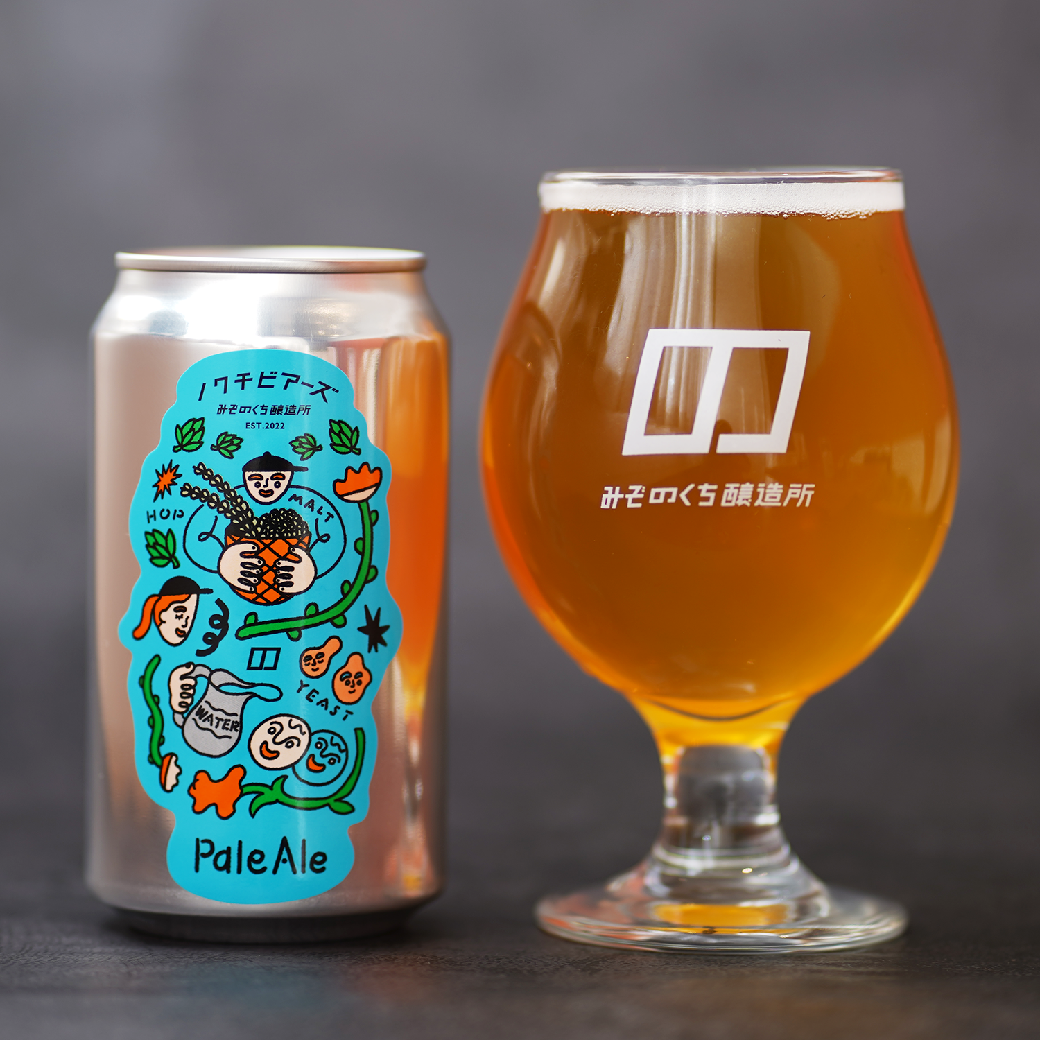 ノクチビアーズ Pale Ale - Nokuchi Ale - 3本セット – みぞのくち醸造所